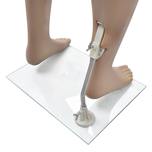 tiauant Economía e industria Venta al por menor Maniquís Maniqui de hombre sin cabeza maniqui mujerBusto/Pecho: 94,5 cm tiauant Economía e industria Venta al por menor Maniquís Maniqui de hombre sin cabeza maniqui mujerBusto/Pecho: 94,5 cm