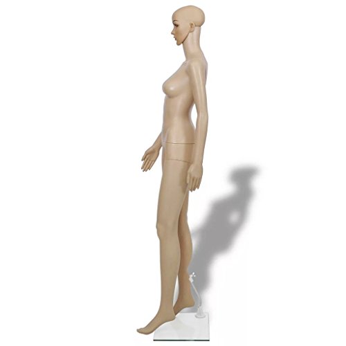 tiauant Economía e industria Venta al por menor Maniquís Maniqui de mujer A maniqui mujerAncho del hombro: 40 cm tiauant Economía e industria Venta al por menor Maniquís Maniqui de mujer A maniqui mujerAncho del hombro: 40 cm