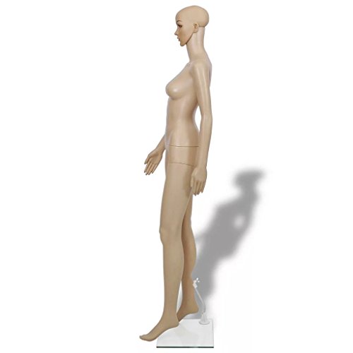 tiauant Economía e industria Venta al por menor Maniquís Maniqui de mujer A maniqui mujerAncho del hombro: 40 cm