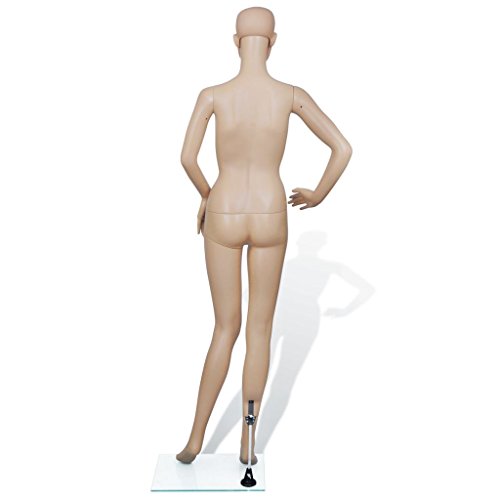 tiauant Economía e industria Venta al por menor Maniquís Maniqui de mujer B maniqui mujerAncho del hombro: 40 cm tiauant Economía e industria Venta al por menor Maniquís Maniqui de mujer B maniqui mujerAncho del hombro: 40 cm