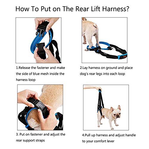Tineer Dog Lift Arnés para piernas traseras Soporte para Mascotas Arnés Cabestrillo Trasero Ayuda Piernas débiles Levántate Soporte Arnés de Equilibrio para Artritis Rehabilitación Perros (M) Tineer Dog Lift Arnés para piernas traseras Soporte para Mascotas Arnés Cabestrillo Trasero Ayuda Piernas débiles Levántate Soporte Arnés de Equilibrio para Artritis Rehabilitación Perros (M)