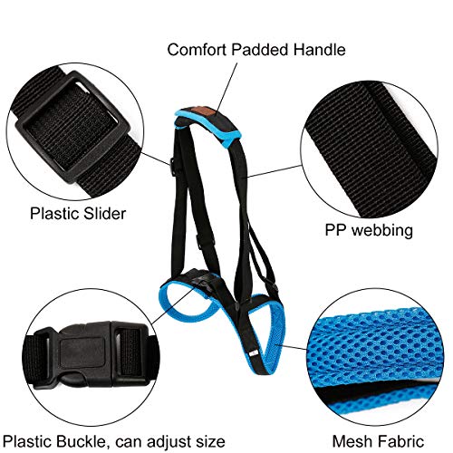 Tineer Dog Lift Arnés para piernas traseras Soporte para Mascotas Arnés Cabestrillo Trasero Ayuda Piernas débiles Levántate Soporte Arnés de Equilibrio para Artritis Rehabilitación Perros (M) Tineer Dog Lift Arnés para piernas traseras Soporte para Mascotas Arnés Cabestrillo Trasero Ayuda Piernas débiles Levántate Soporte Arnés de Equilibrio para Artritis Rehabilitación Perros (M)