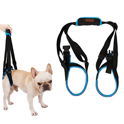 Tineer Dog Lift Arnés para piernas traseras Soporte para Mascotas Arnés Cabestrillo Trasero Ayuda Piernas débiles Levántate Soporte Arnés de Equilibrio para Artritis Rehabilitación Perros (M) Tineer Dog Lift Arnés para piernas traseras Soporte para Mascotas Arnés Cabestrillo Trasero Ayuda Piernas débiles Levántate Soporte Arnés de Equilibrio para Artritis Rehabilitación Perros (M)