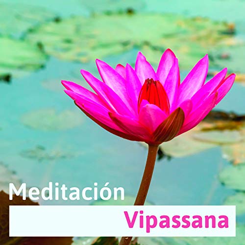 Tipos de Yoga