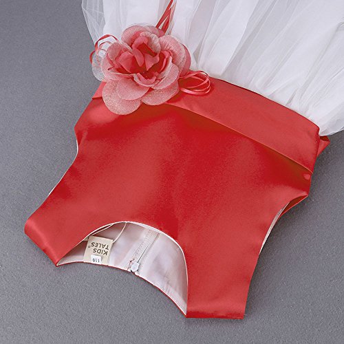 Tirador y niñas Cute Princess sin mangas vestidos de novia (de flores de cremallera en la parte posterior blanco blanco Talla:L(9-12Months) Tirador y niñas Cute Princess sin mangas vestidos de novia (de flores de cremallera en la parte posterior blanco blanco Talla:L(9-12Months)