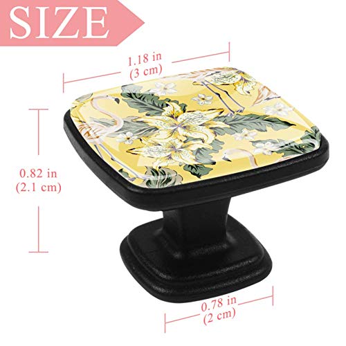 Tiradores cuadrados de cajón TIZORAX con diseño de flamencos en lirio de plumería, con forma de flor, selva, 4 piezas de cristal para armarios de cocina, de 30 mm Tiradores cuadrados de cajón TIZORAX con diseño de flamencos en lirio de plumería, con forma de flor, selva, 4 piezas de cristal para armarios de cocina, de 30 mm