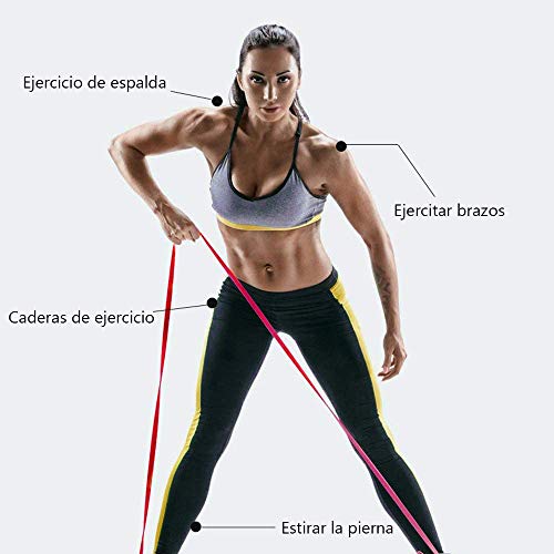 tmtonmoon Bandas de Resistencia y Fitness Profesional, Bandas Deportivas, Bandas de Goma, Bandas de Gimnasia, Bandas de Entrenamiento, para dominadas