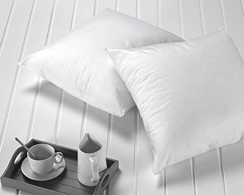 Todocama – Pack de 2 Unidades. Relleno de cojín con Fibra Hueca siliconada de Gran Volumen. Hipoalergénicas. (Todas Las Medidas Disponibles). (Pack 2 Unidades 70x50 cm) Todocama – Pack de 2 Unidades. Relleno de cojín con Fibra Hueca siliconada de Gran Volumen. Hipoalergénicas. (Todas Las Medidas Disponibles). (Pack 2 Unidades 70x50 cm)