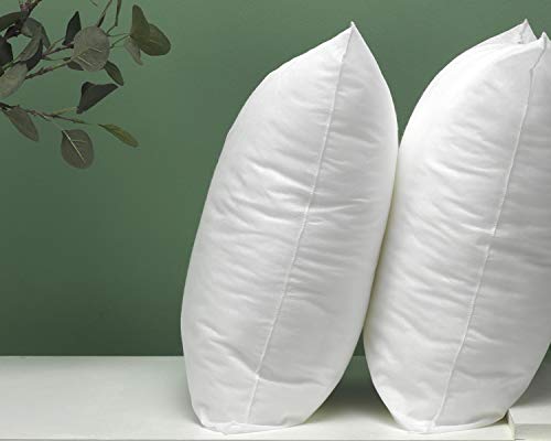 Todocama – Pack de 2 Unidades. Relleno de cojín con Fibra Hueca siliconada de Gran Volumen. Hipoalergénicas. (Todas Las Medidas Disponibles). (Pack 2 Unidades 70x50 cm) Todocama – Pack de 2 Unidades. Relleno de cojín con Fibra Hueca siliconada de Gran Volumen. Hipoalergénicas. (Todas Las Medidas Disponibles). (Pack 2 Unidades 70x50 cm)