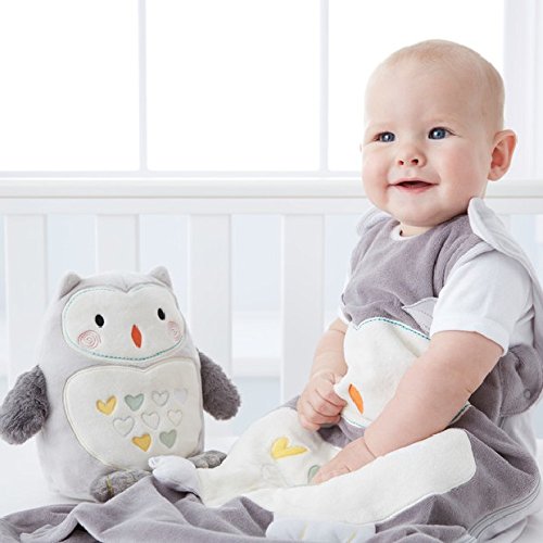 Tommee Tippee GRO Saco de dormir Grobag, 18-36 m, 2.5 TOG, Ollie el Búho Tommee Tippee GRO Saco de dormir Grobag, 18-36 m, 2.5 TOG, Ollie el Búho