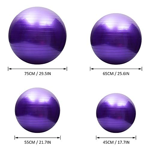 TOMSHOO Pelota de yoga antipinchazos, engrosada, estabilidad, pelota de equilibrio, pilates, barra, fitness, gimnasia, 45 cm/55 cm/65 cm/75 cm, bomba de aire de regalo TOMSHOO Pelota de yoga antipinchazos, engrosada, estabilidad, pelota de equilibrio, pilates, barra, fitness, gimnasia, 45 cm/55 cm/65 cm/75 cm, bomba de aire de regalo