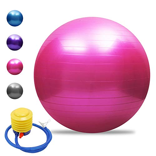 TOMSHOO Pelota de yoga antipinchazos, engrosada, estabilidad, pelota de equilibrio, pilates, barra, fitness, gimnasia, 45 cm/55 cm/65 cm/75 cm, bomba de aire de regalo TOMSHOO Pelota de yoga antipinchazos, engrosada, estabilidad, pelota de equilibrio, pilates, barra, fitness, gimnasia, 45 cm/55 cm/65 cm/75 cm, bomba de aire de regalo