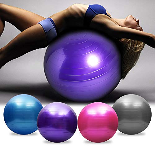TOMSHOO Pelota de yoga antipinchazos, engrosada, estabilidad, pelota de equilibrio, pilates, barra, fitness, gimnasia, 45 cm/55 cm/65 cm/75 cm, bomba de aire de regalo
