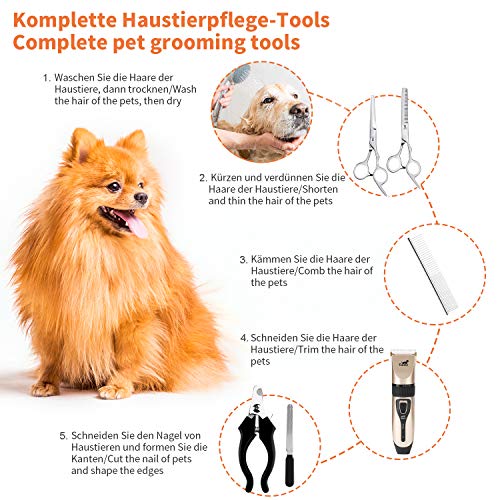 Toozey Cortapelos Perros Profesional para Cabello Grueso/Largo/Corto/Rizado - Kit de Maquina Cortar Pelo Perros de Silencioso Inalámbrico Recargable para Todas Las Mascotas, E-Book, Oro