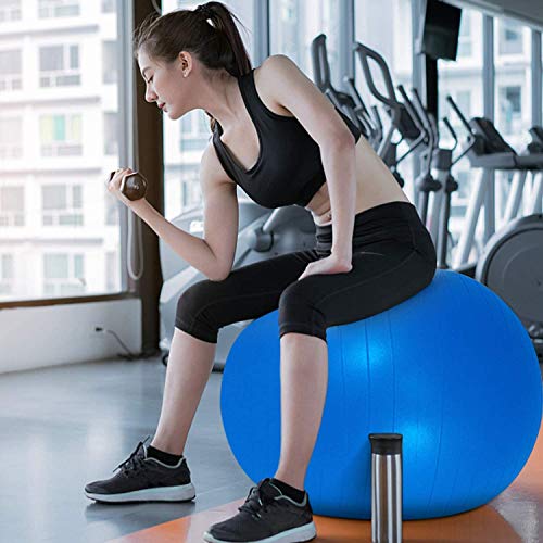 TOPLUS Balón de fitness Yoga, pelota de ejercicio para yoga, pilates, fitness (azul, 65 cm) TOPLUS Balón de fitness Yoga, pelota de ejercicio para yoga, pilates, fitness (azul, 65 cm)