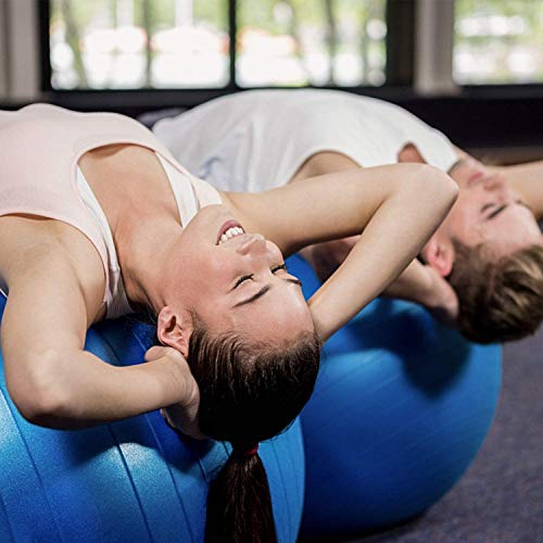 TOPLUS Pelota de Gimnasia Anti-Reventones Bola de Yoga Pilates y Ejercicio Balón para Sentarse Balon de Ejercicio para Fitness 300 kg con Bomba de Aire 65cm (Azul)