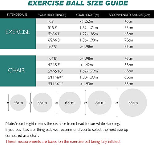 TOPLUS Pelota de Gimnasia Anti-Reventones Bola de Yoga Pilates y Ejercicio Balón para Sentarse Balon de Ejercicio para Fitness 300 kg con Bomba de Aire 65cm (Negro 75cm) TOPLUS Pelota de Gimnasia Anti-Reventones Bola de Yoga Pilates y Ejercicio Balón para Sentarse Balon de Ejercicio para Fitness 300 kg con Bomba de Aire 65cm (Negro 75cm)