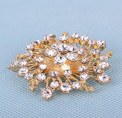 Toruiwa 1X Broches de bisuteria Broches de Ropa Broches para Vestidos Joyeria Antigua Vintage Mujer Broche de Diamantes de imitación Femenino 5.3 * 5.3cm