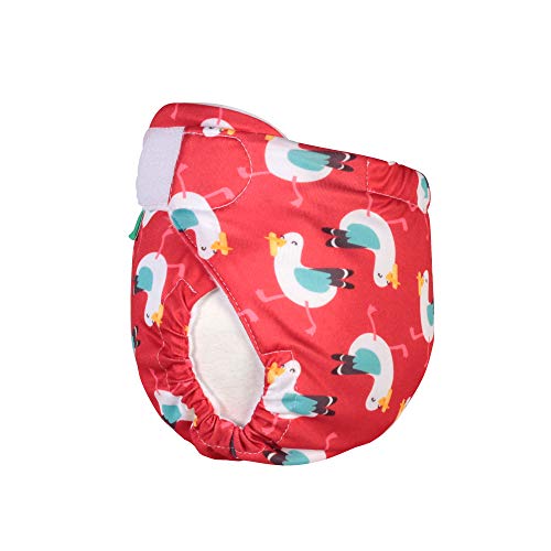 TOTSBOTS Pañal de natación reutilizable para bebé – Hermosos pañales de natación para recién nacidos a niños pequeños, diversión en el sol o remo en la piscina caja fuerte (mío) TOTSBOTS Pañal de natación reutilizable para bebé – Hermosos pañales de natación para recién nacidos a niños pequeños, diversión en el sol o remo en la piscina caja fuerte (mío)