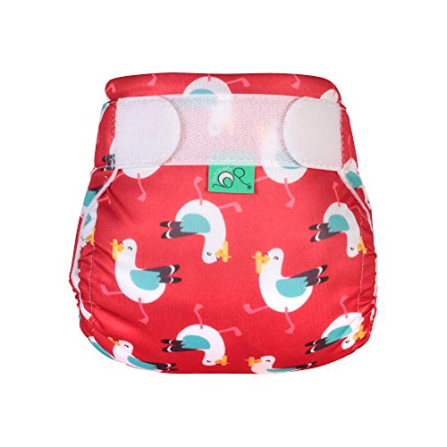 TOTSBOTS Pañal de natación reutilizable para bebé – Hermosos pañales de natación para recién nacidos a niños pequeños, diversión en el sol o remo en la piscina caja fuerte (mío) TOTSBOTS Pañal de natación reutilizable para bebé – Hermosos pañales de natación para recién nacidos a niños pequeños, diversión en el sol o remo en la piscina caja fuerte (mío)