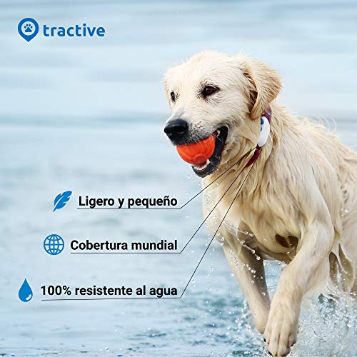 Tractive GPS Dog 4 - Localizador GPS Perros y Seguimiento de Actividad sin límite de Distancia, Resistente al Agua