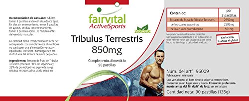 Tribulus Terrestris - VEGANO - Dosis elevada - 90 Comprimidos - estandarizado a 90% de saponinas y 22% protodioscin - Calidad Alemana