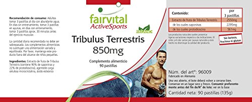 Tribulus Terrestris - VEGANO - Dosis elevada - 90 Comprimidos - estandarizado a 90% de saponinas y 22% protodioscin - Calidad Alemana Tribulus Terrestris - VEGANO - Dosis elevada - 90 Comprimidos - estandarizado a 90% de saponinas y 22% protodioscin - Calidad Alemana