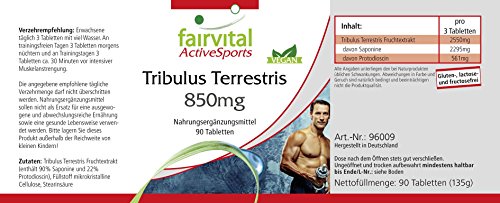 Tribulus Terrestris - VEGANO - Dosis elevada - 90 Comprimidos - estandarizado a 90% de saponinas y 22% protodioscin - Calidad Alemana