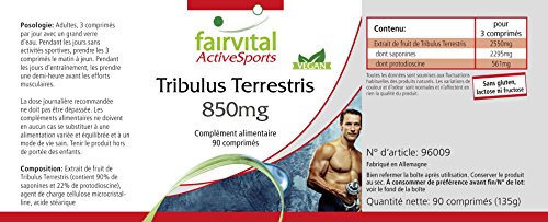 Tribulus Terrestris - VEGANO - Dosis elevada - 90 Comprimidos - estandarizado a 90% de saponinas y 22% protodioscin - Calidad Alemana