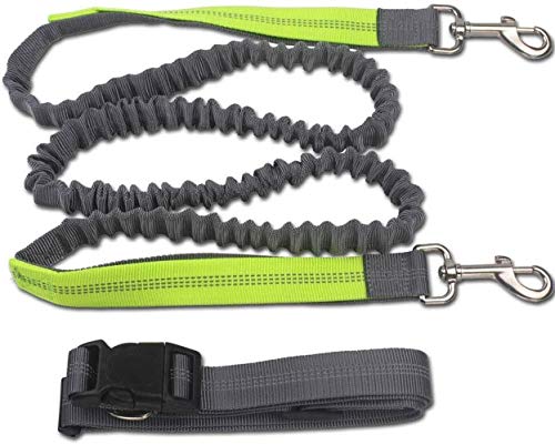 Trotar Correa De Tracción Animal Verde De Tracción De La Cinta Andadora Portátil De Alta Elasticidad Manos Libres Alimentos For Mascotas Gris Tamaño Del Haz Ajustable Cuerda De La Cintura Conveniente Trotar Correa De Tracción Animal Verde De Tracción De La Cinta Andadora Portátil De Alta Elasticidad Manos Libres Alimentos For Mascotas Gris Tamaño Del Haz Ajustable Cuerda De La Cintura Conveniente