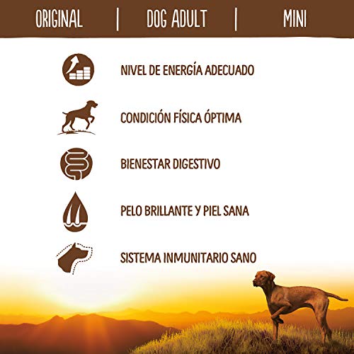 True Instinct Original - Pienso para Perros Mini Adultos con Cordero - 2kg True Instinct Original - Pienso para Perros Mini Adultos con Cordero - 2kg