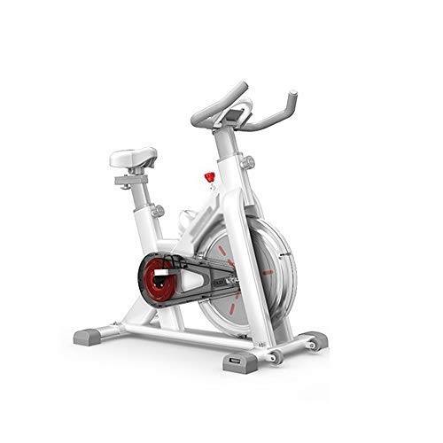 TXOZ Estacionaria silencioso de transmisión del cinturón Ciclo de la Bici de Bicicleta de Ejercicios, Ritmo cardíaco, Monitor LCD, Asiento Ajustable y Manillar for el hogar Cardio Workout