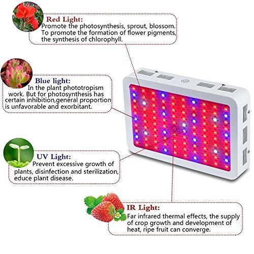 TXVSO 600W LED Planta crece la luz, Full Spectrum para invernadero y planta hidropónica de interior Florecimiento de verduras Lámparas de cultivo Menos calor y rendimientos más grandes