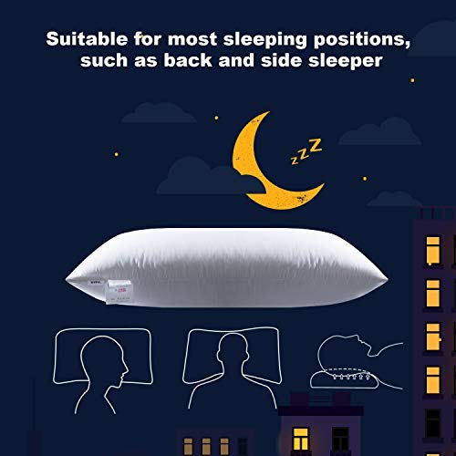 UMI. by Amazon - Pack de Dos Almohadas de Plumas de Ganso Blancas con Tela 100% de algodón (48 x 74 cm, firmeza Mediana) UMI. by Amazon - Pack de Dos Almohadas de Plumas de Ganso Blancas con Tela 100% de algodón (48 x 74 cm, firmeza Mediana)