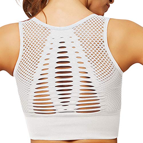 UMIPUBO Sujetador Deportivo Mujer Material Cómodo Sin Costuras Almohadilla Desmontable para Gimnasio Yoga Bailar de Alto Impacto UMIPUBO Sujetador Deportivo Mujer Material Cómodo Sin Costuras Almohadilla Desmontable para Gimnasio Yoga Bailar de Alto Impacto