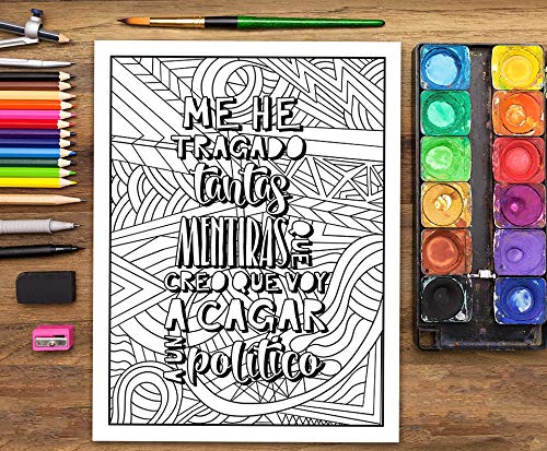 Un libro de colorear para adultos: He decidido usar el sarcasmo porque matar es ilegal Un libro de colorear para adultos: He decidido usar el sarcasmo porque matar es ilegal