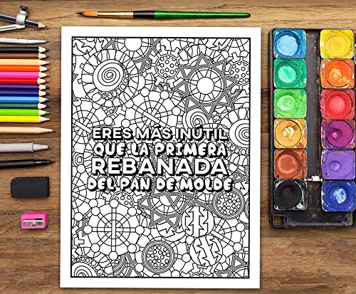 Un libro de colorear para adultos: He decidido usar el sarcasmo porque matar es ilegal Un libro de colorear para adultos: He decidido usar el sarcasmo porque matar es ilegal