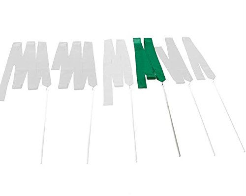 Unbekannt Juego de 5 Bandas de Ritmo, 2 m, para Gimnasia y Gimnasia Unbekannt Juego de 5 Bandas de Ritmo, 2 m, para Gimnasia y Gimnasia