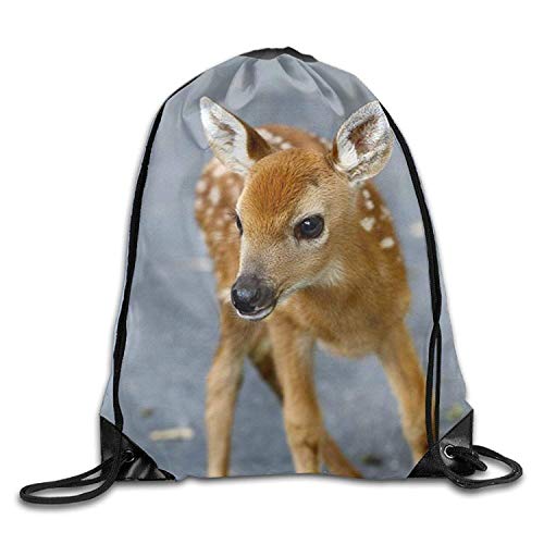 uykjuykj Bolsos De Gimnasio,Mochilas,Adult Baby Frogs Drawstring Bag Backpack Draw Cord Bag Sackpack Shoulder Bags Gym Bag Gym Men Women Hiking Swimming Yoga Lightweight Unique 17x14 IN uykjuykj Bolsos De Gimnasio,Mochilas,Adult Baby Frogs Drawstring Bag Backpack Draw Cord Bag Sackpack Shoulder Bags Gym Bag Gym Men Women Hiking Swimming Yoga Lightweight Unique 17x14 IN