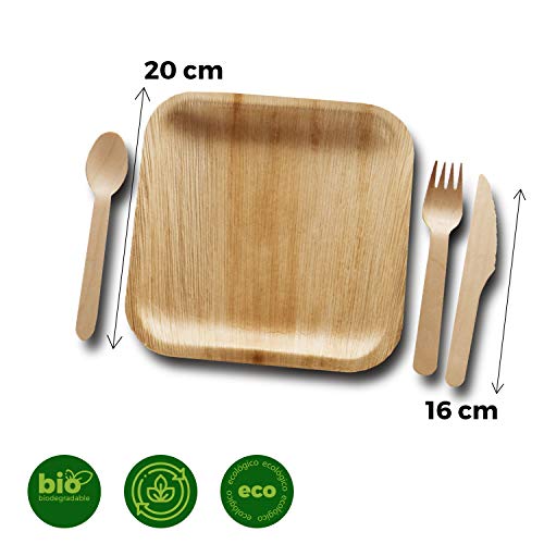 Vajilla desechable de 48 Piezas, 12 Platos de Hoja de Palma Cuadrados de 20 cm, Juego de Cubiertos de Madera Abedul de 12 cucharas, 12 Tenedores y 12 Cuchillos, Rustica, elegante y biodegradable