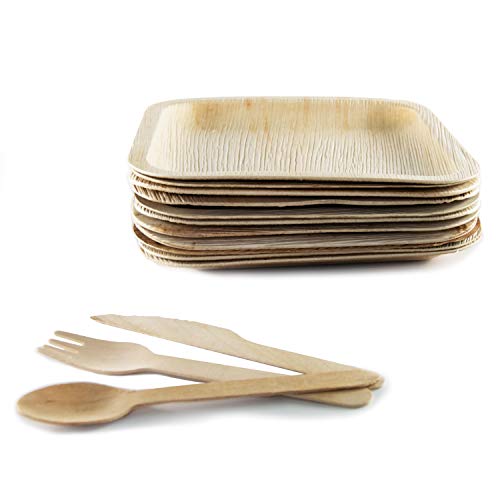 Vajilla desechable de 48 Piezas, 12 Platos de Hoja de Palma Cuadrados de 20 cm, Juego de Cubiertos de Madera Abedul de 12 cucharas, 12 Tenedores y 12 Cuchillos, Rustica, elegante y biodegradable