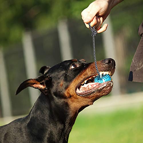 VECELA Pelota de Juguete para Perros, Pelotas para Perros Natural y no Tóxico Juguete de Limpieza para Dientes Duros Indestructibles para Perros Medianos Grandes