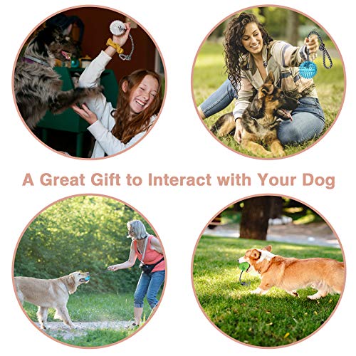 VECELA Pelota de Juguete para Perros, Pelotas para Perros Natural y no Tóxico Juguete de Limpieza para Dientes Duros Indestructibles para Perros Medianos Grandes VECELA Pelota de Juguete para Perros, Pelotas para Perros Natural y no Tóxico Juguete de Limpieza para Dientes Duros Indestructibles para Perros Medianos Grandes
