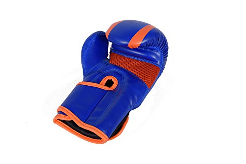 Vector Sports Guantes de Boxeo para niños, Entrenamiento de Boxeo, Saco de Boxeo, Guantes de Boxeo, Guantes de Boxeo, Muay tailandés, Kickboxing, Artes Marciales, Entrenamiento para niños y niñas.