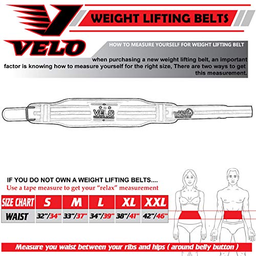 VELO Cinturón de neopreno para levantamiento de pesas, levantamiento de potencia, soporte lumbar para la parte inferior de la espalda, fitness, ejercicio, culturismo (gris, mediano)