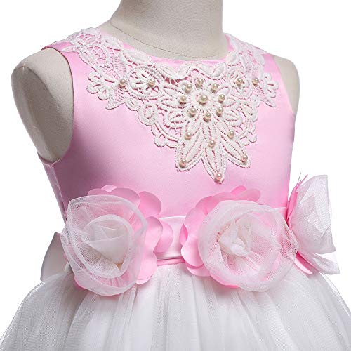 Vestido de Novia de NiƱa Lovely Fancy Junior Flower Girl Dress Sin mangas Floral Rose Tul Princesa Vestidos Chicas Tutu Bow Vestido de boda Fiesta de cumpleaƱos Vestido de NiƱa de Flores de 0-12 AƱos, Vestido de Novia de NiƱa Lovely Fancy Junior Flower Girl Dress Sin mangas Floral Rose Tul Princesa Vestidos Chicas Tutu Bow Vestido de boda Fiesta de cumpleaƱos Vestido de NiƱa de Flores de 0-12 AƱos,