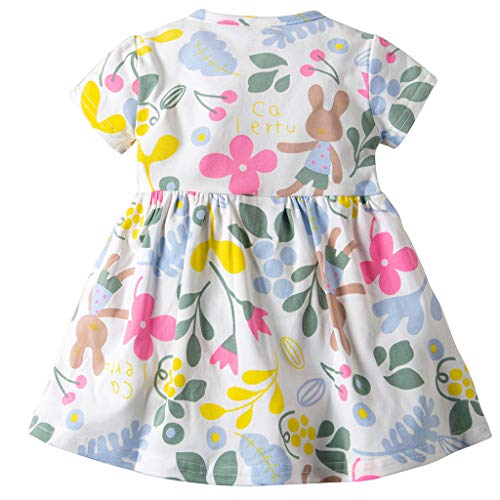 Vestido Niña Ropa Bebé Vestidos Manga Corta Princesa ReciéN Nacida Verano Flor Impreso Traje Flor 12-18 Meses