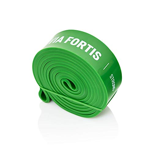 VIA FORTIS Banda Elástica de Resistencia Cuerda de Fuerza para Fitness, Crossfit, Pilates, Estiramientos| Incluye Bolsa de Transporte | 5 Niveles de Resistencia Diferentes (4 - Strong (Verde))