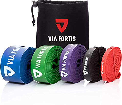 VIA FORTIS Banda Elástica de Resistencia Cuerda de Fuerza para Fitness, Crossfit, Pilates, Estiramientos| Incluye Bolsa de Transporte | 5 Niveles de Resistencia Diferentes (4 - Strong (Verde))