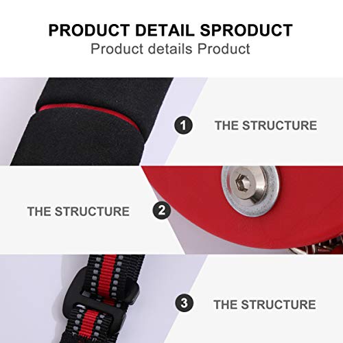 VICASKY 1 Juego de Correas de Fitness AB Tirar hacia Arriba Correas Colgantes AB Slings Correas Ayuda para Las Piernas Cinturón de Entrenamiento de Músculos Abdominales para Gimnasio de VICASKY 1 Juego de Correas de Fitness AB Tirar hacia Arriba Correas Colgantes AB Slings Correas Ayuda para Las Piernas Cinturón de Entrenamiento de Músculos Abdominales para Gimnasio de
